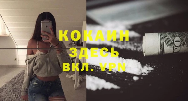 дмт Богданович