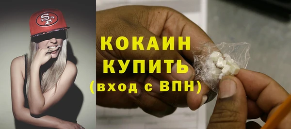 дмт Богданович