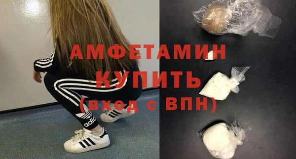 дмт Богданович