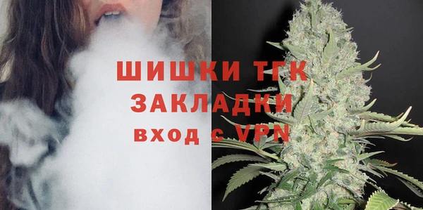 дмт Богданович