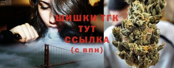 соль ск Богородицк