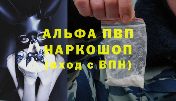 дмт Богданович