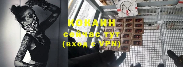 дмт Богданович