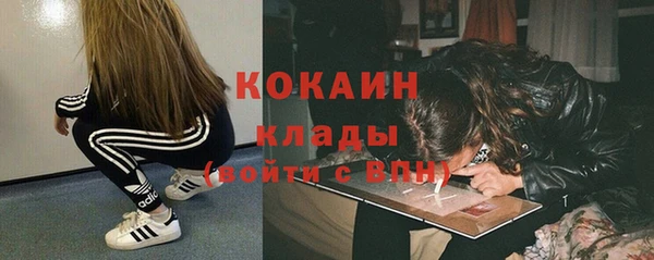 соль ск Богородицк