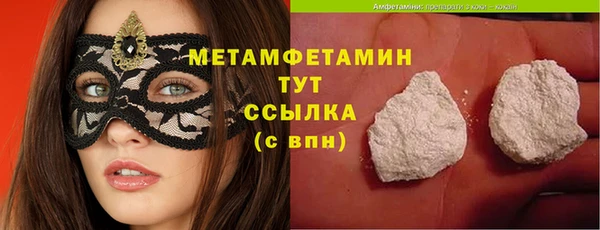 дмт Богданович